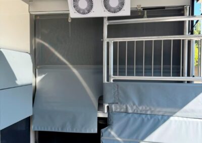 iveco daily 35s21 stallion light msg rs grauglanz5